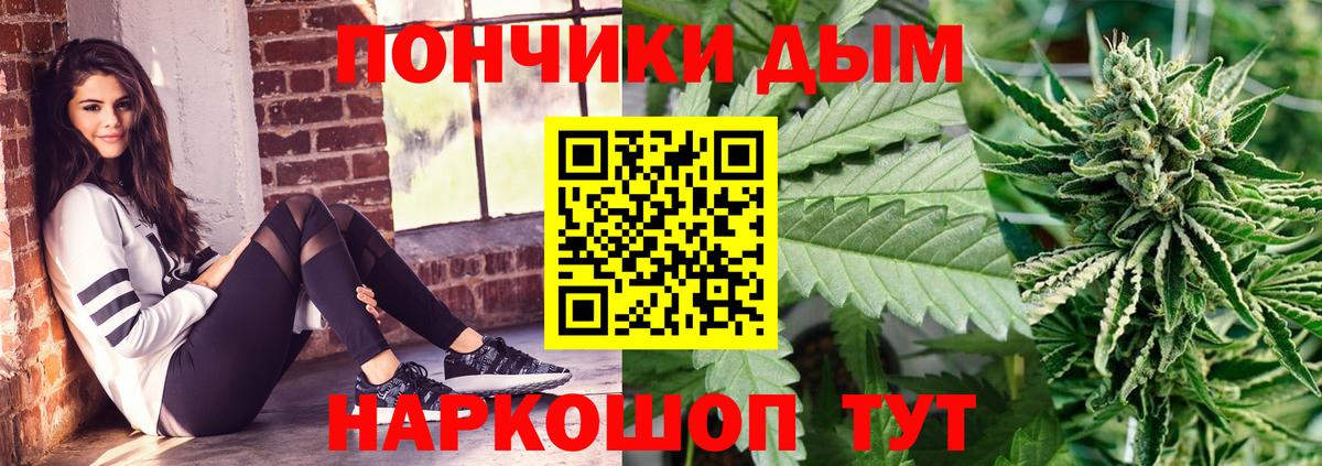 Конопля сатива Советский